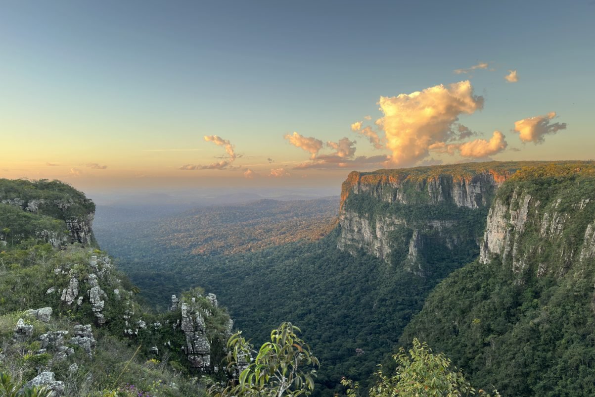 Chapada e mata de Rond&ocirc;nia ao entardecer, vista do Pico do Traco&aacute;